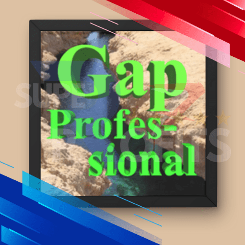 Gap Professional v1.4 EA MT4 NO DLL 1431