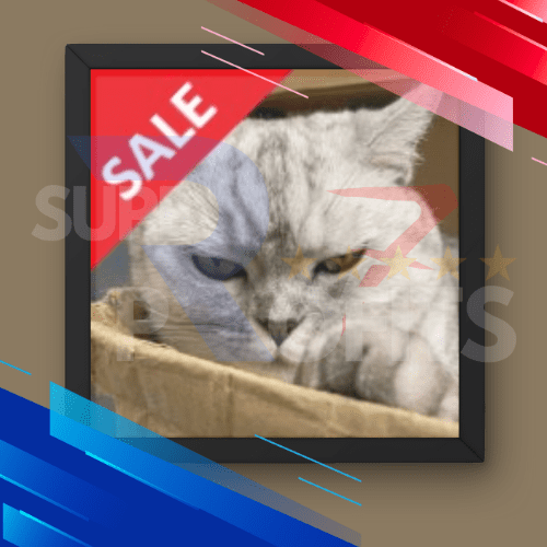 Hunting Cat Scalper v3.0 EA MT4 NO DLL